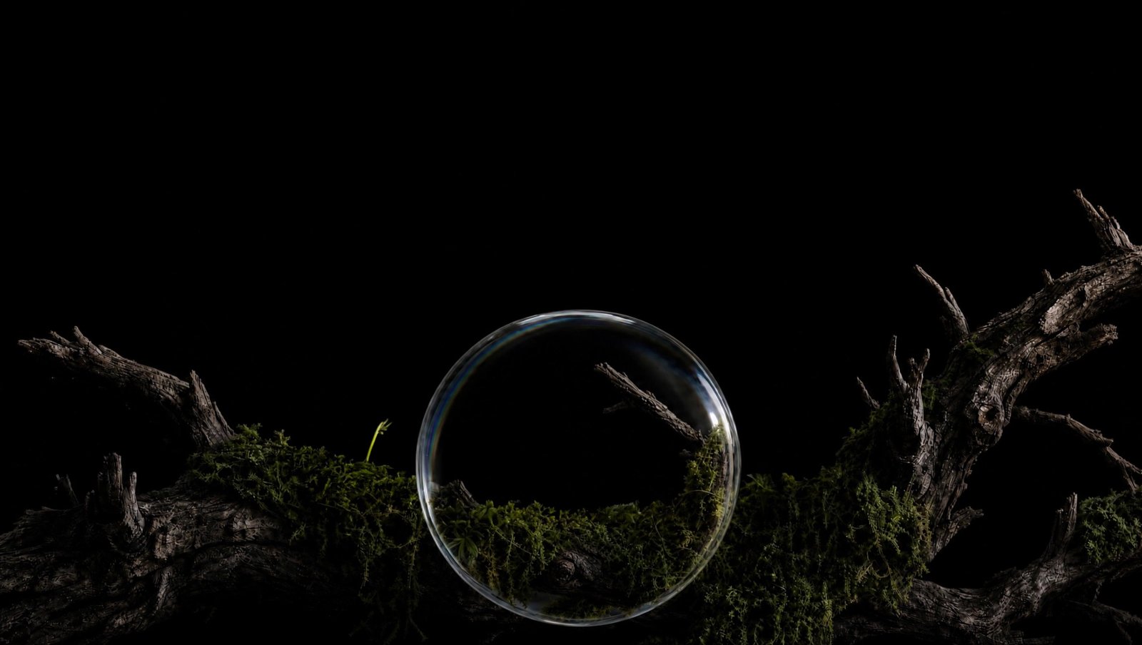 Cinematic artwork from the A Studio landing page animation
